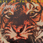Eye of the Tiger